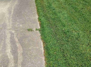 Cleanups by Keem James for Carolina M. in Durham, NC