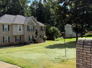 Bush Trimming by Edward Bivins for Tony J. in Ellenwood, GA