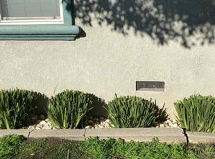 Bush Trimming by Ajai Narayan for Gena A. in Sacramento, CA