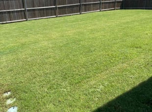 Lea L.'s Lawn Mowing service result