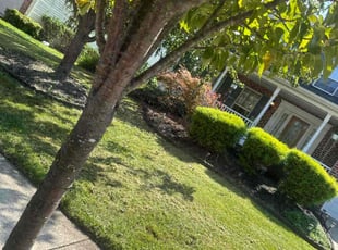 Richard S.'s Lawn Service service result