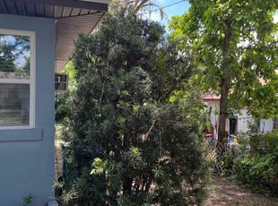 Bush Trimming by Johnny Richardson for Winette R. in Winter Haven, FL