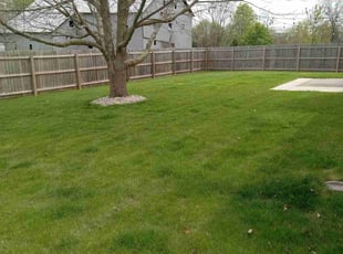 Ashley B.'s Lawn Service service result