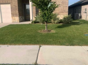 Donald A.'s Lawn Service service result