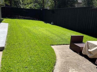 Hal P.'s Yard Cutting service result