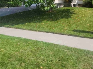 Viviana F.'s Lawn Care service result