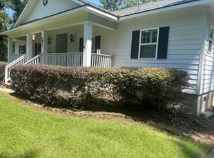 Bush Trimming by Jessica Bryant for Kenneth D. in Savannah, GA
