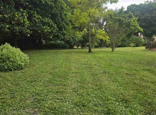 Chandra T.'s Lawn Service service result