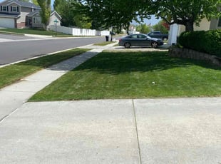 Bush Trimming by Eliezer Paez for Mark B. in Herriman, UT