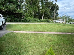 Ben A.'s Lawn Mowing service result