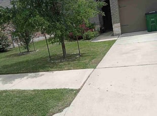 Joyce W.'s Lawn Mowing Service service result
