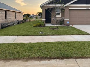 Rachel H.'s Grass Cutting service result