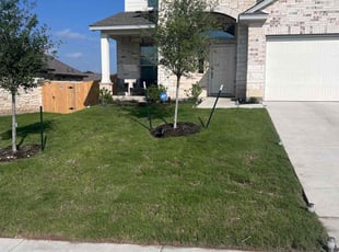 Alexandria N.'s Yard Cutting service result