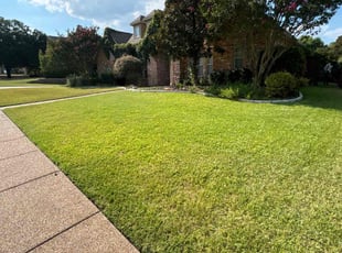 Shannon L.'s Grass Cutting service result
