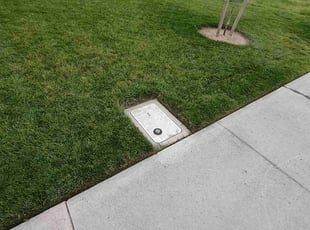 Warren W.'s Lawn Service service result