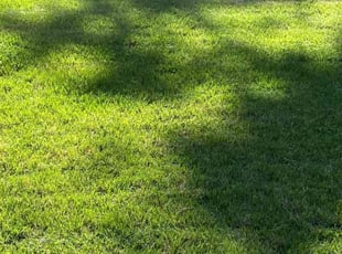 Kathy G.'s Lawn Care service result