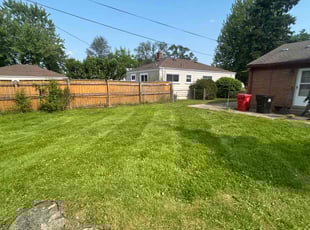 Cleanups by Kyle Yacko for Adrienne M. in Roseville, MI