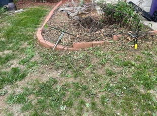 Weeding by Devin Brown for Brittany S. in Denver, CO