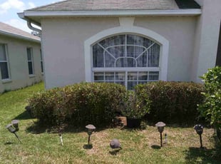 Bush Trimming by Raymone Wimpye El for Jean L. in Land O' Lakes, FL