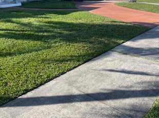 Jean H.'s Grass Cutting service result