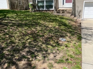 Cleanups by Jeffery Hartupee for Jack M. in Kansas City, MO