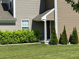 Kevin B.'s Lawn Mowing service result