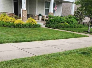 Mary W.'s Grass Cutting service result