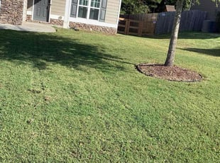 Taher H.'s Yard Cutting service result