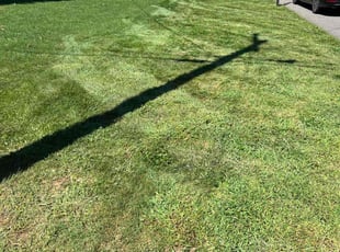 Mary Grace T.'s Grass Cutting service result