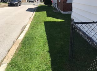 Mario C.'s Lawn Mowing Service service result