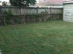 Bush Trimming by Vontae Green for Harris L. in Chicago, IL