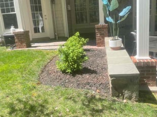 Weeding by Margarito Cardona for Latonya T. in Leesburg, VA