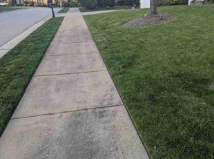 Jean S.'s Yard Cutting service result