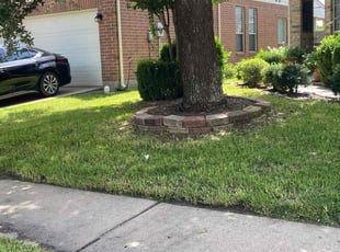 Krishna K.'s Lawn Care service result