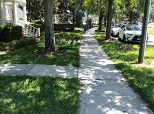 Edwin M.'s Lawn Mowing service result
