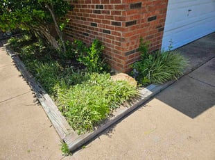 Weeding by Gary Joy for Sandy W. in Bedford, TX