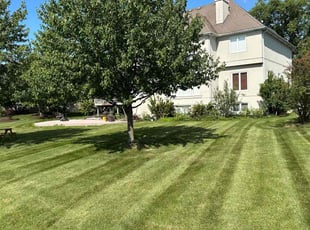 C.c. M.'s Lawn Care service result