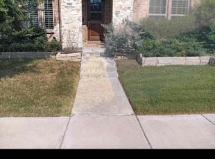 Doug D.'s Lawn Maintenance service result