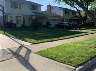 Carol T.'s Lawn Care service result