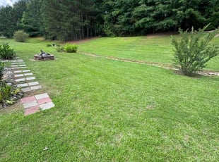 Traci R.'s Yard Cutting service result