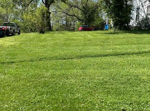 Chrisana B.'s Lawn Mowing Service service result