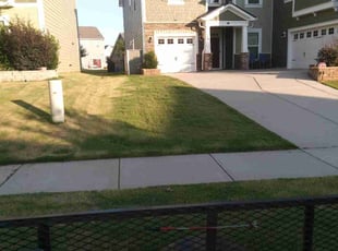 Michelle H.'s Lawn Care service result