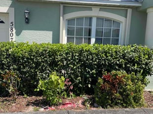 Bush Trimming by Victor Cisneros for Von E. in Port St. Lucie, FL