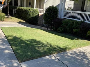 Toni L.'s Lawn Service service result
