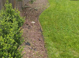 Cleanups by Allan Roberts for Ashley Z. in Washington, DC