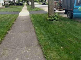 Coralie C.'s Lawn Care service result