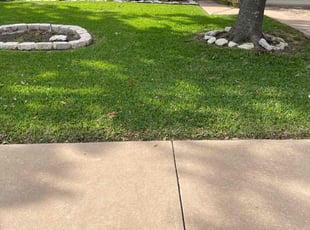Alejandro R.'s Lawn Mowing service result