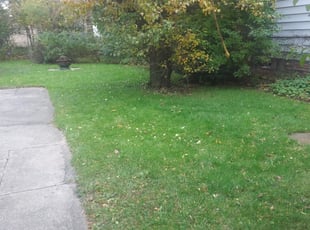 Cleanups by Robert Gunnels for Philip P. in Detroit, MI