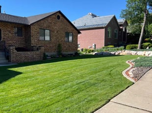 Gary P.'s Yard Cutting service result