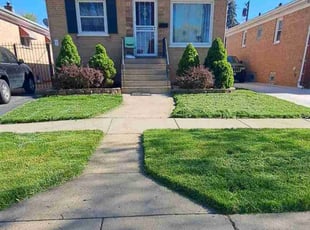 Renzie B.'s Lawn Service service result